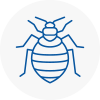 Bed Bug Extermination In Essex
