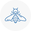Bee Nest Removal Essex