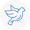 Bird Prevention Essex