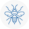 Essex Hornet Nest Removals