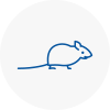 Mice Exterminators In Essex