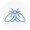 Moth Control Specialists In Essex