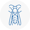 Essex Wasp Nest Removal